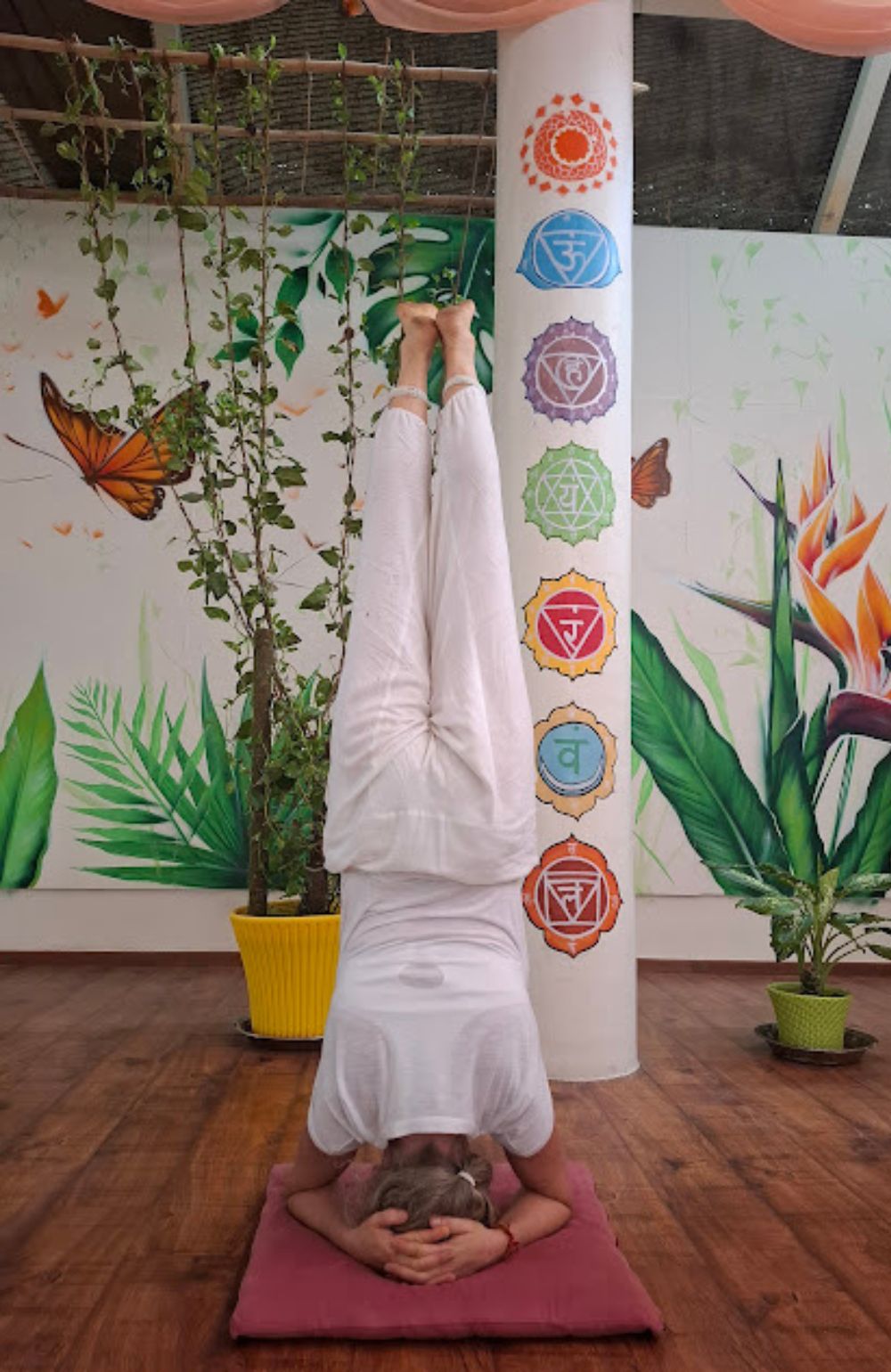 jp travel retreats yoga wellness6